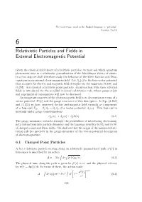 Relativistic Particles and Fields in External Electromagnetic Potential