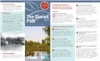 THE SHARED PATH Foxwell St Terry Dr Symes Rd