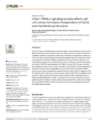 A Rac1-FMNL2 Signaling Module Affects Cell-Cell Contact Formation