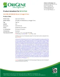 Azi2 (NM 001286508) Mouse Untagged Clone Product Data