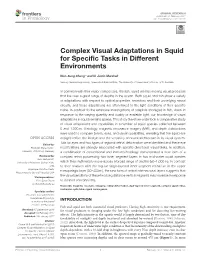 Complex Visual Adaptations in Squid for Specific Tasks in Different