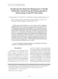 Deciphering the Molecular Phylogenetics of Family Hyblaeidae and Inferring the Phylogeographical Relationships Using DNA Barcoding