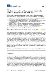 Isolation of a Lactobacillus Paracasei Strain with Probiotic Attributes from Keﬁr Grains