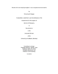 Studies of Human Depth Perception in Real and Pictured Environments By