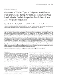 Generation of Distinct Types of Periglomerular Olfactory Bulb Interneurons During Development and in Adult Mice