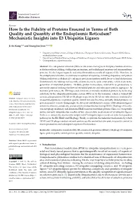 How Is the Fidelity of Proteins Ensured in Terms of Both Quality and Quantity at the Endoplasmic Reticulum? Mechanistic Insights Into E3 Ubiquitin Ligases