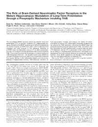 Modulation of Long-Term Potentiation Through a Presynaptic Mechanism Involving Trkb
