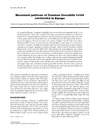 Movement Patterns of Common Crossbills Loxia Curvirostra in Europe