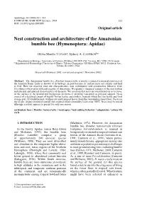 Nest Construction and Architecture of the Amazonian Bumble Bee (Hymenoptera: Apidae)