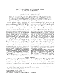 Sorbus Ulleungensis, a New Endemic Species on Ulleung Island, Korea