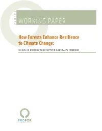 Working Paper