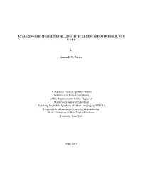 Analyzing the Multilingual Linguistic Landscape Of