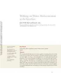 Biolocomotion at the Interface