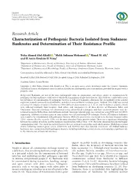 Characterization of Pathogenic Bacteria Isolated from Sudanese Banknotes and Determination of Their Resistance Profile
