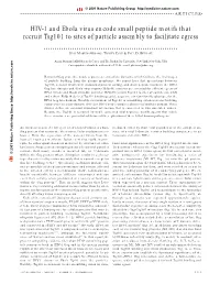 HIV-1 and Ebola Virus Encode Small Peptide Motifs That Recruit Tsg101 to Sites of Particle Assembly to Facilitate Egress