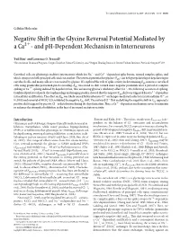 Negative Shift in the Glycine Reversal Potential Mediated by Aca2ϩ- and Ph-Dependent Mechanism in Interneurons