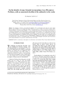Plecoptera: Perlidae), with an Annotated Checklist of the Subfamily in the Realm