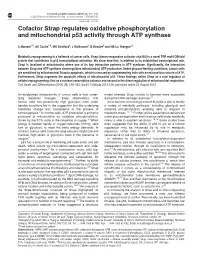 Cofactor Strap Regulates Oxidative Phosphorylation and Mitochondrial P53 Activity Through ATP Synthase