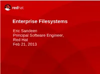 Enterprise Filesystems