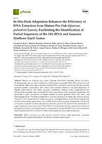 In Situ Dark Adaptation Enhances the Efficiency of DNA Extraction