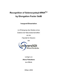 Recognition of Selenocysteyl-Trna by Elongation Factor Selb