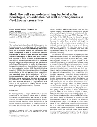 Mreb, the Cell Shape-Determining Bacterial Actin Homologue, Co-Ordinates Cell Wall Morphogenesis in Caulobacter Crescentus