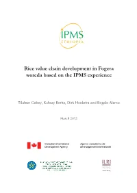 Rice Value Chain Development in Fogera Woreda Based on the IPMS Experience