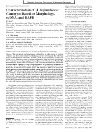 Characterization of 11 Juglandaceae Gen O Types Based on Morphology