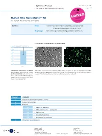 Optimized Protocol for Human Mesenchymal Stem Cells