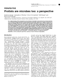 Protists Are Microbes Too: a Perspective