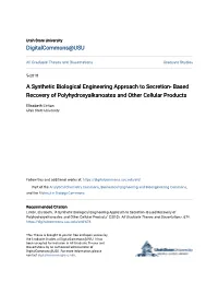 A Synthetic Biological Engineering Approach to Secretion- Based Recovery of Polyhydroxyalkanoates and Other Cellular Products
