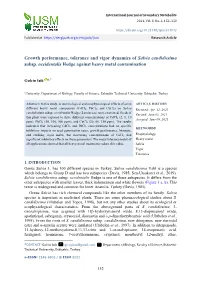 Growth Performance, Tolerance and Vigor Dynamics of Salvia Candidissima Subsp