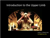 Introduction to the Upper Limb