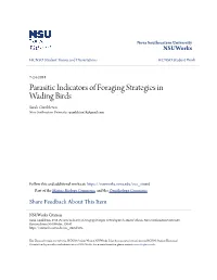 Parasitic Indicators of Foraging Strategies in Wading Birds Sarah Gumbleton Nova Southeastern University, Sgumbleton19@Gmail.Com