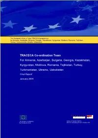 Coordination Team Final Report Eng