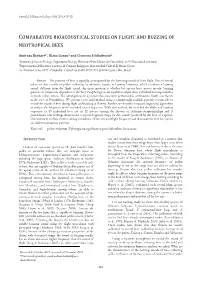 Comparative Bioacoustical Studies on Flight and Buzzing of Neotropical Bees