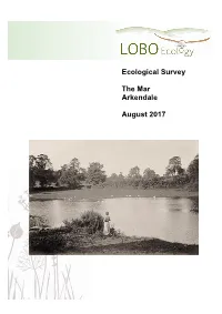 Final Report and Recommendations FINAL V3