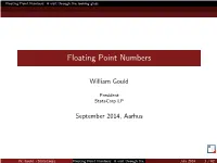 Floating Point Numbers: a Visit Through the Looking Glass