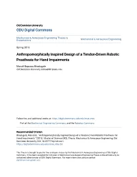 Anthropomorphically Inspired Design of a Tendon-Driven Robotic Prosthesis for Hand Impairments