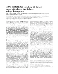 LEAFY COTYLEDON2 Encodes a B3 Domain Transcription Factor That Induces Embryo Development
