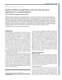 Spalt4 Mediates Invagination and Otic Placode Gene Expression in Cranial Ectoderm Meyer Barembaum and Marianne Bronner-Fraser*