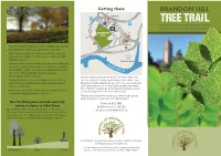BRANDON HILL TREE TRAIL Explore the Trees, Both Rare and Native, with This Specially Designed Tree Trail