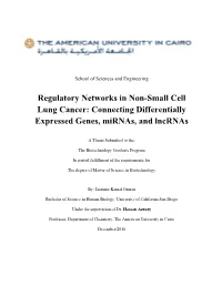 Connecting Differentially Expressed Genes, Mirnas, and Lncrnas