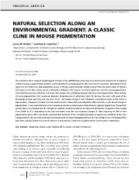 Natural Selection Along an Environmental Gradient: a Classic Cline in Mouse Pigmentation