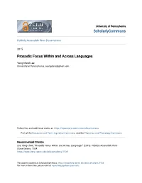 Prosodic Focus Within and Across Languages