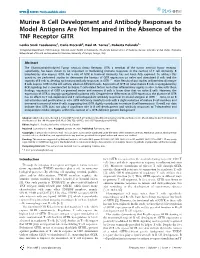 Murine B Cell Development and Antibody Responses to Model Antigens Are Not Impaired in the Absence of the TNF Receptor GITR