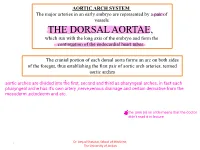 THE DORSAL AORTAE, Which Run with the Long Axis of the Embryo and Form the Continuation of the Endocardial Heart Tubes