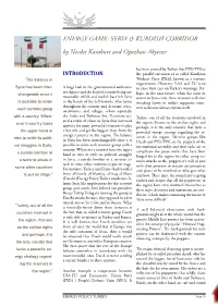 ENERGY GAME: SYRIA & KURDISH CORRIDOR by Necdet Karakurt and Oğuzhan Akyener