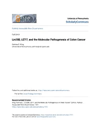 Lin28b, LET-7, and the Molecular Pathogenesis of Colon Cancer