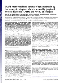 SNARE Motif-Mediated Sorting of Synaptobrevin by the Endocytic Adaptors Clathrin Assembly Lymphoid Myeloid Leukemia (CALM) and AP180 at Synapses